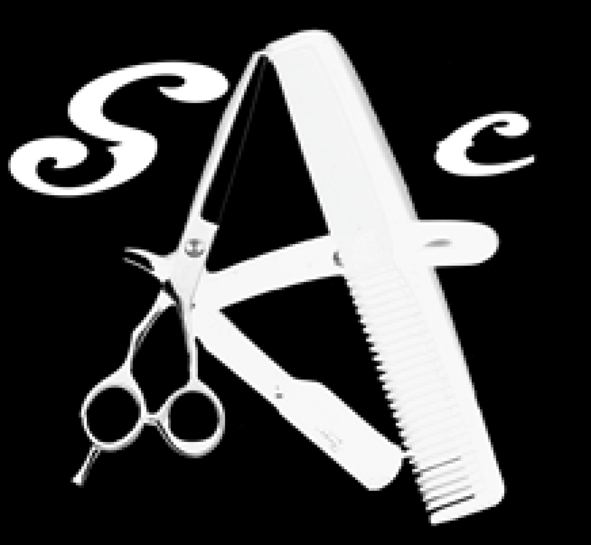 The Scissor and Comb Worksop Image 1